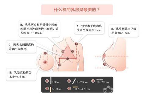 东方人美的乳房标准 哪些需要做隆胸手术