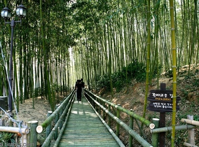 韩国旅游景点推荐--竹绿园,韩国印象-8682赴韩
