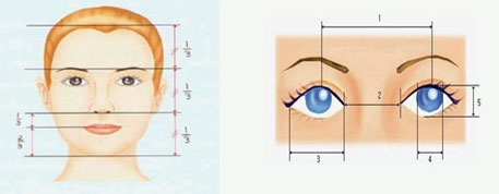 眼部的美学标准是什么?[图文]