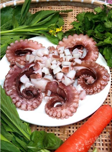 韩国人最爱的美食：生吞活章鱼