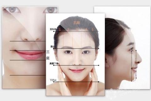 颜面结构分析 脸部线条新标准
