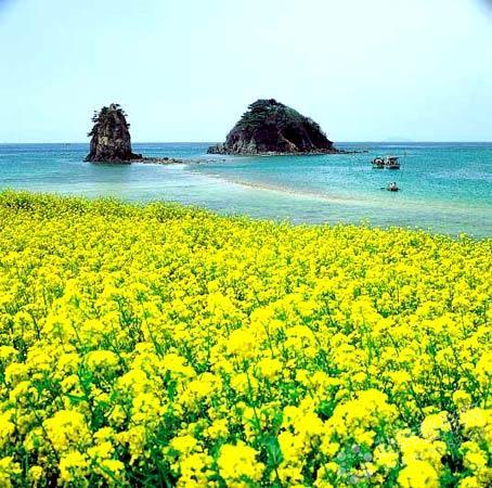 济州岛美丽风光 享受美食感悟爱情