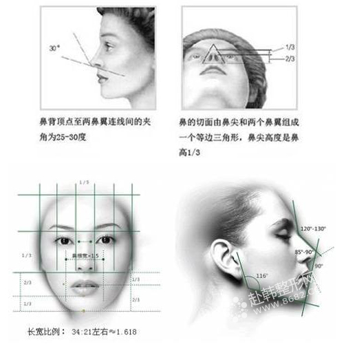韩国专家解析美鼻子的标准