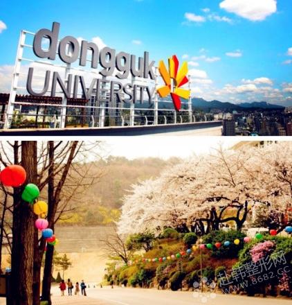 东国大学：一个盛产韩国明星的地方