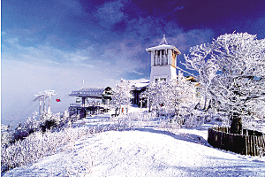 冬季韩国首尔都有哪些好玩的？