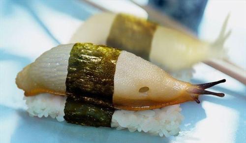 蜗牛寿司