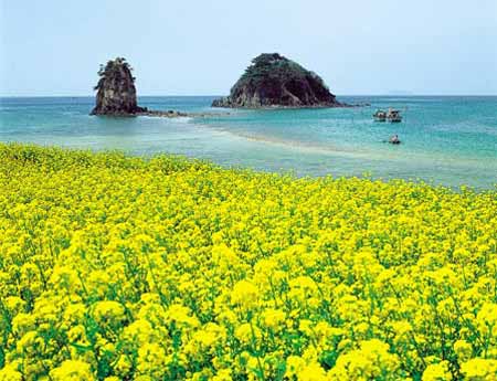 韩国蜜月旅游：济州岛