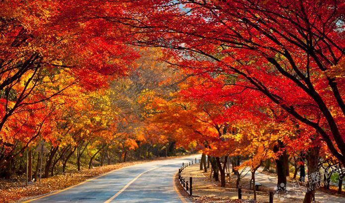 秋季韩国旅游——全罗北道内藏山赏“枫景”