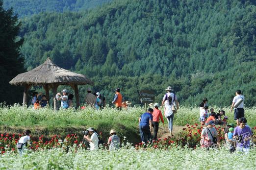 平昌“孝石文化节”