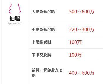2014韩国整形【吸脂】价格一览表 手术项目 参考价格(韩元)  大腿激光溶脂 500~600万