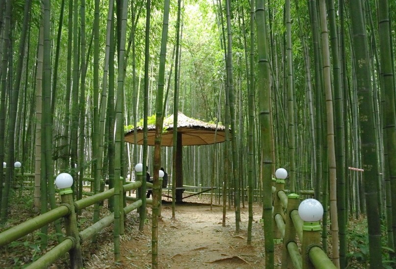 竹绿园