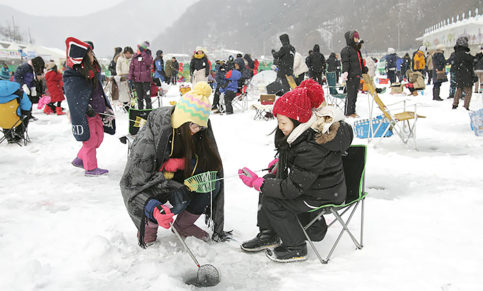 华川山鳟鱼庆典