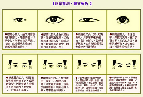 相学眼睛分类演示图解图片